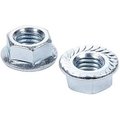 Allstar 0.5 in.-13 Serrated Flange Nuts, 10PK ALL16044-10